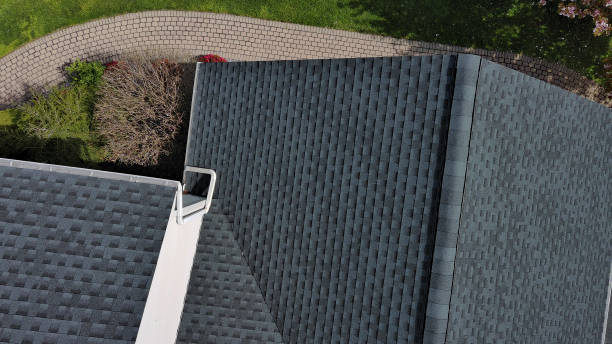 Best Solar Panel Roofing Installation  in Vaeboro, NC