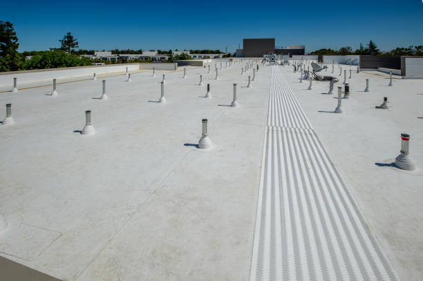 Best Roof Insulation Installation  in Vaeboro, NC